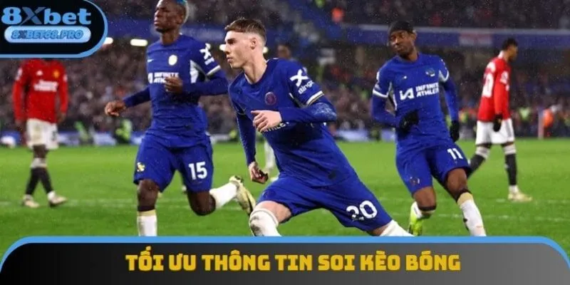 Tối ưu thông tin có được giúp bạn soi kèo một cách hiệu quả