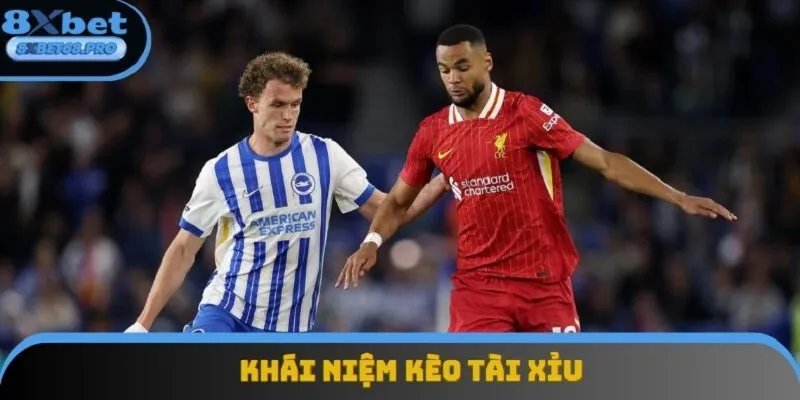 Tìm hiểu chính xác khái niệm của kèo tài xỉu bóng đá