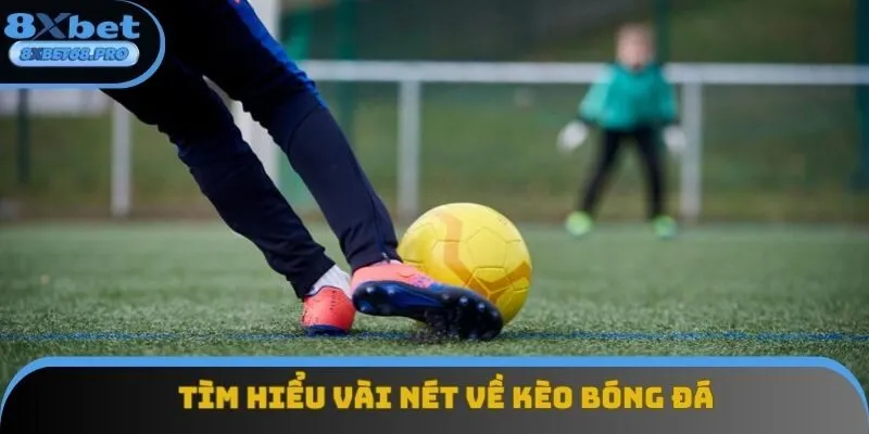 Kinh nghiệm soi kèo | Phương pháp cá cược chuẩn theo chuyên gia