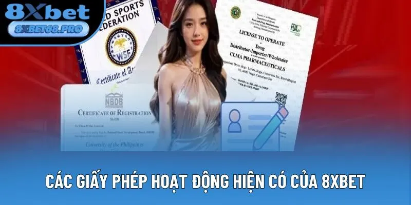 Các giấy phép hoạt động hiện có của 8xbet